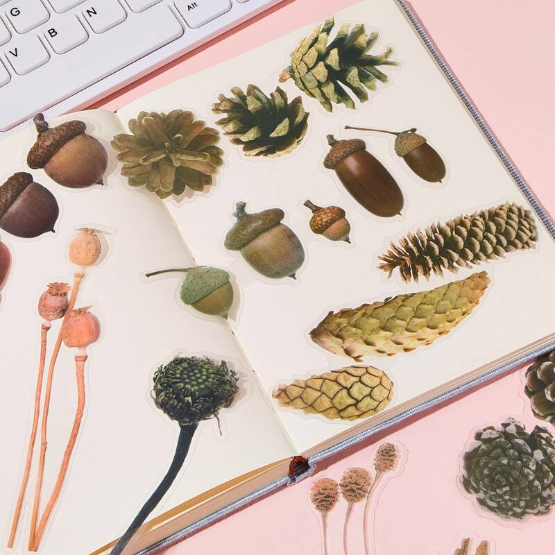 

20pcs Acorn & Pine Cone Print Sticker