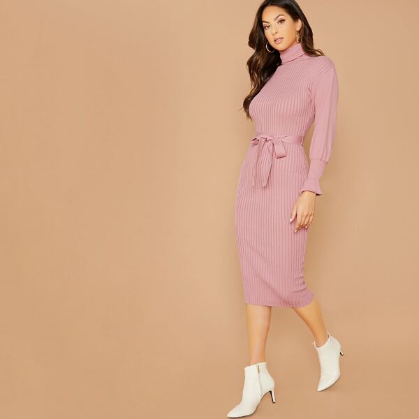 

Turtleneck Ribbed Long Sleeve Tie Sweater Dress