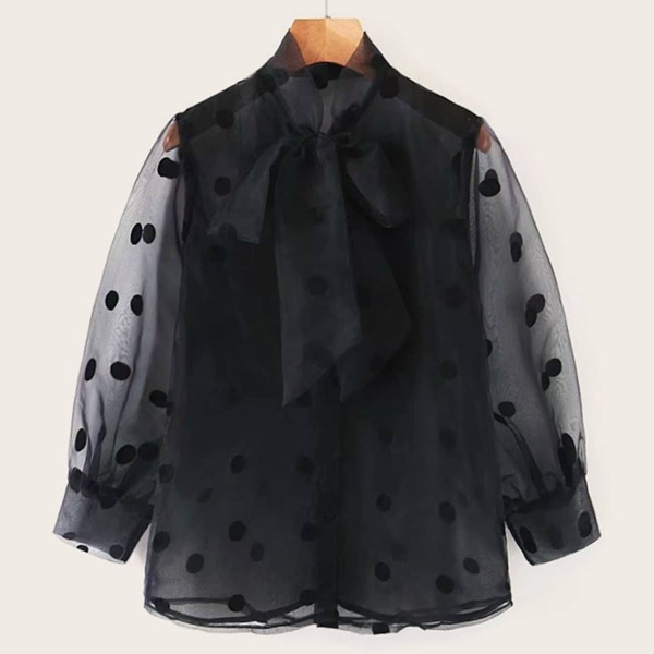 

Tie Front Polka Dot Sheer Blouse