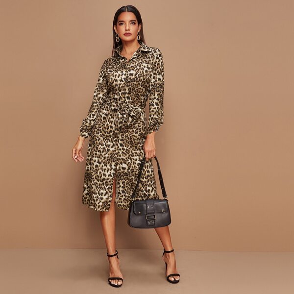 

Leopard Button Through Belted Shirt Dress, Multicolor
