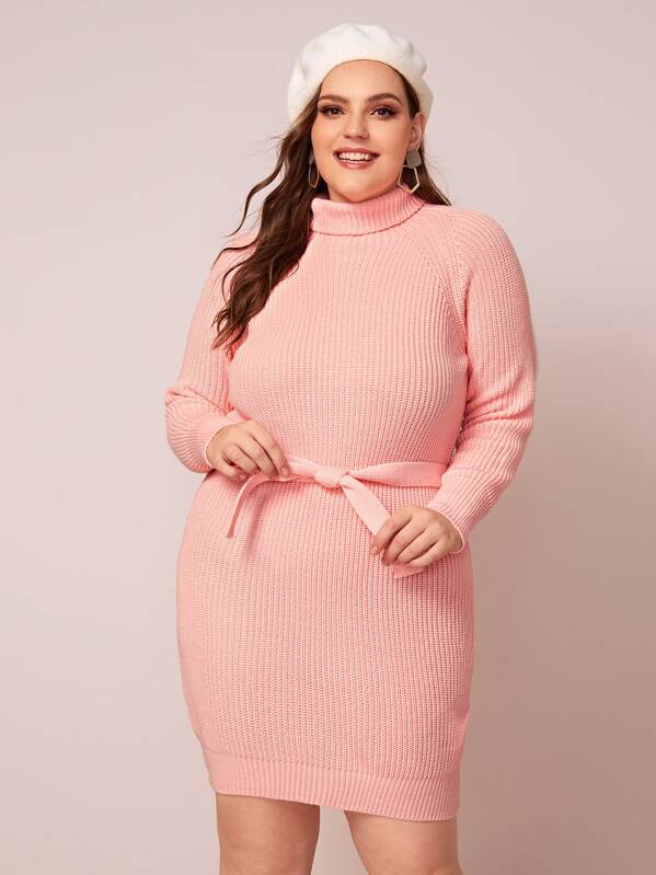 

Plus Raglan Sleeve Turtleneck Belted Sweater Dress, Pink, Ella