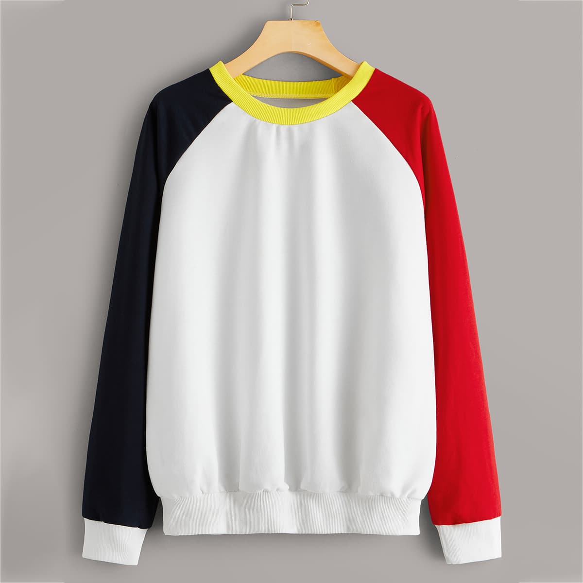 

Color-block Raglan Sleeve Sweatshirt, Multicolor