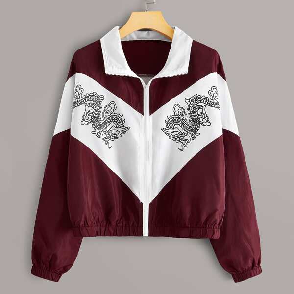 

Dragon Print Color-Block Windbreaker Jacket, Multicolor