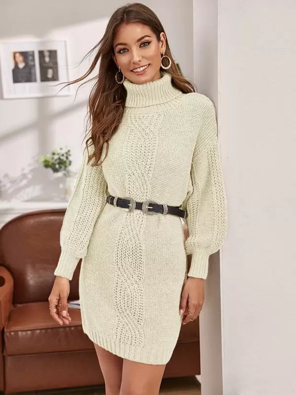 Lantern Sleeve Turtleneck Sweater Dress Without Belt -SHEIN