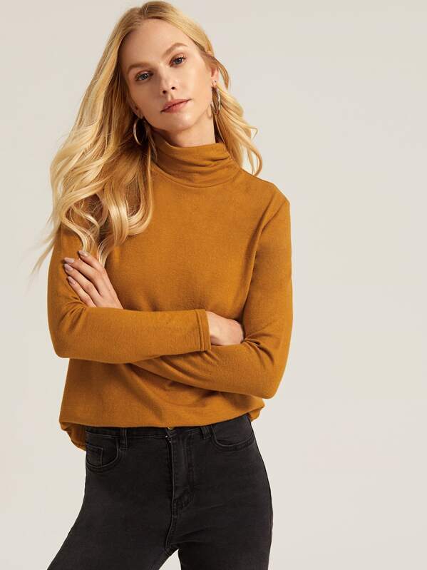 

Cowl Neck Long Sleeve Solid Tee, Camel, Denisa