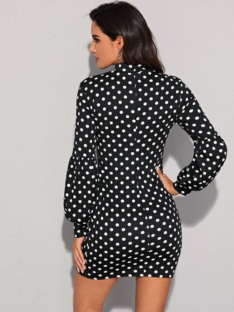 Svart Dragkedja Storprickig Elegant Klänningar | SHEIN SE Svart Dragkedja Storprickig Elegant Klänningar | SHEIN SE