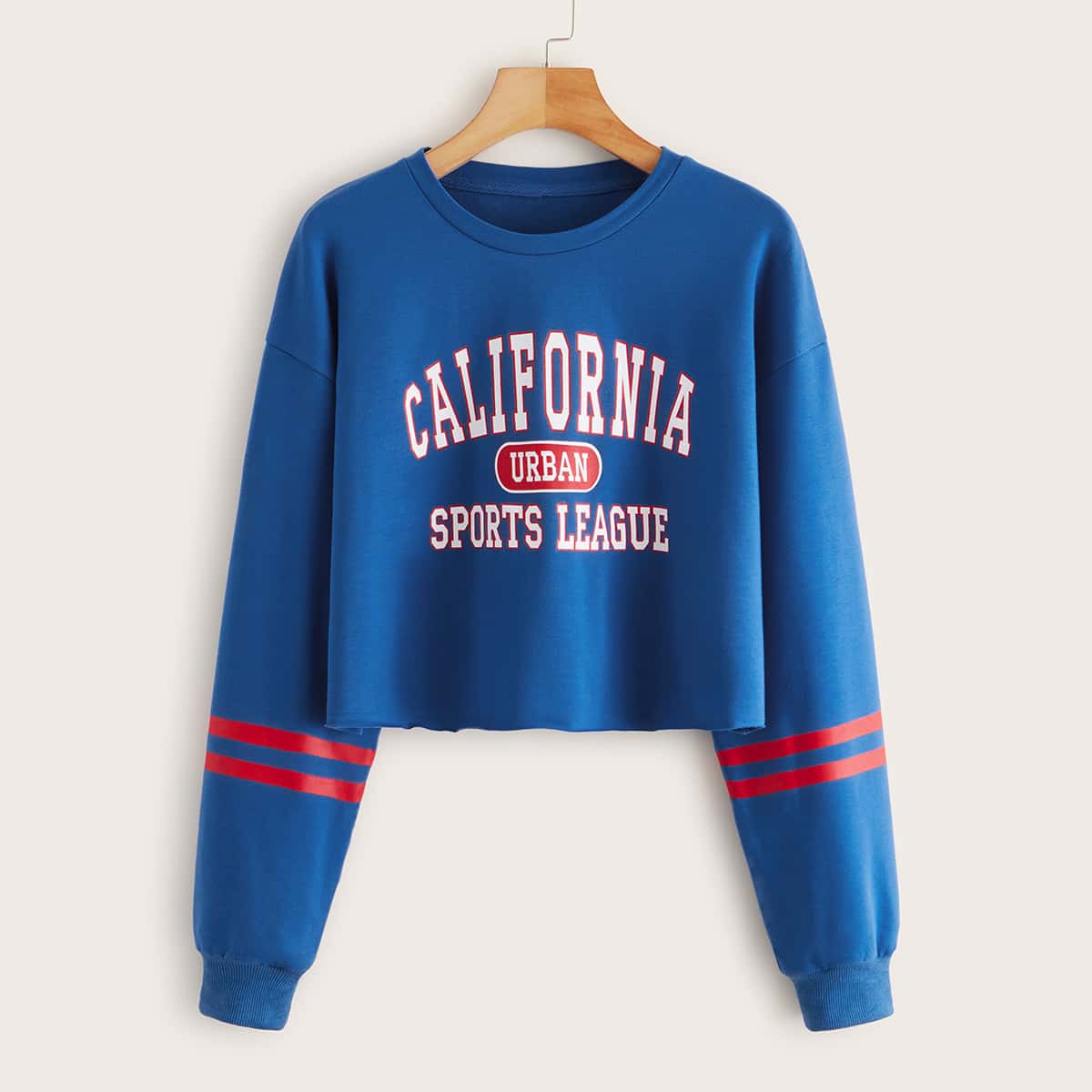 

Letter Graphic Varsity Striped Crop Sweatshirt, Blue
