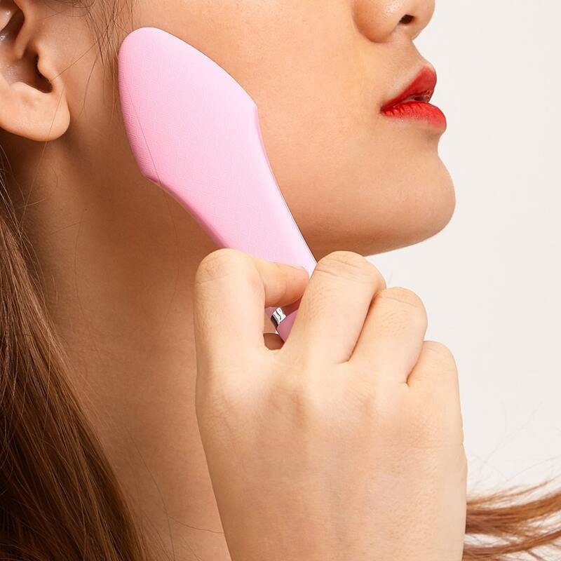 Multifunctional Facial Ion Importer