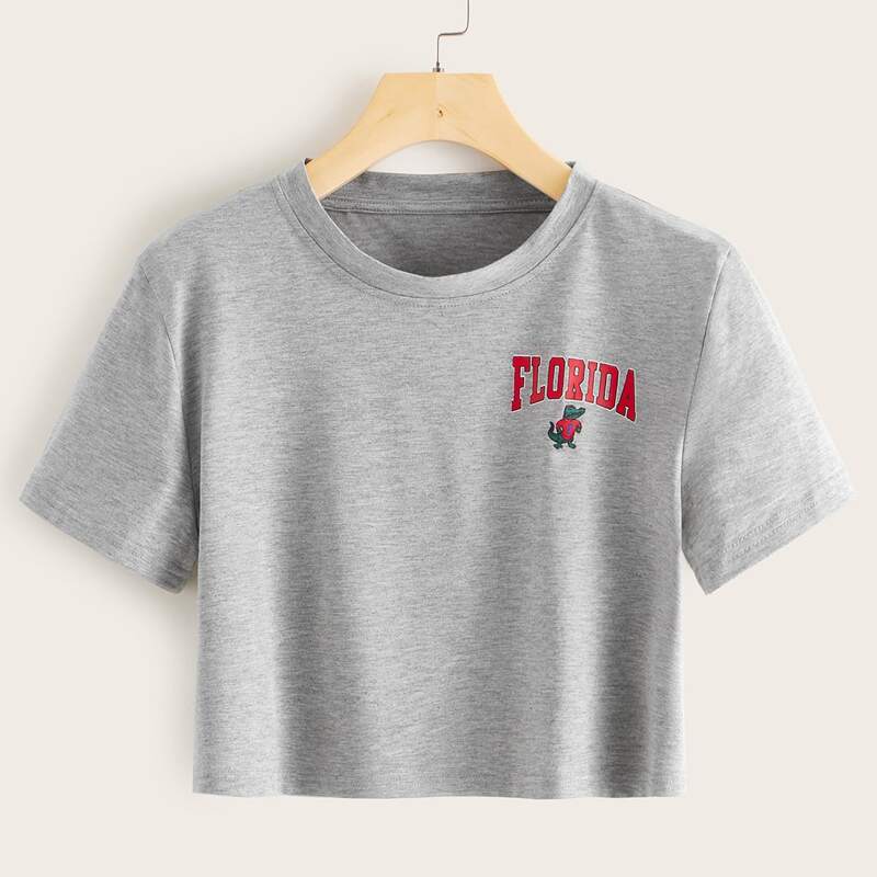 

Dinosaur & Letter Graphic Crop Tee, Grey
