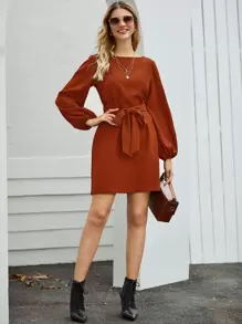 SHEIN Clasi 船領燈籠袖腰帶連衣裙 - 棕色 - 查看 4
