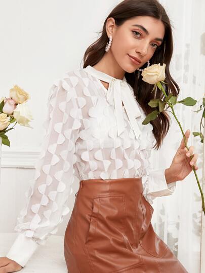 Sheer Tie Neck Chiffon Blouse