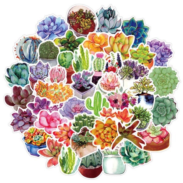 

50pcs Succulent Plants Sticker, Multicolor