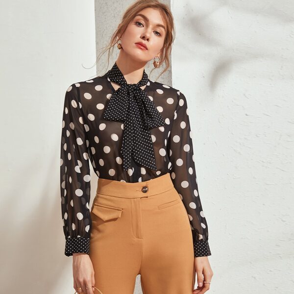 

Tie Neck Polka Dot Sheer Chiffon Blouse, Black