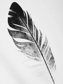Manfinity Men Feather Print Top - White - View 4