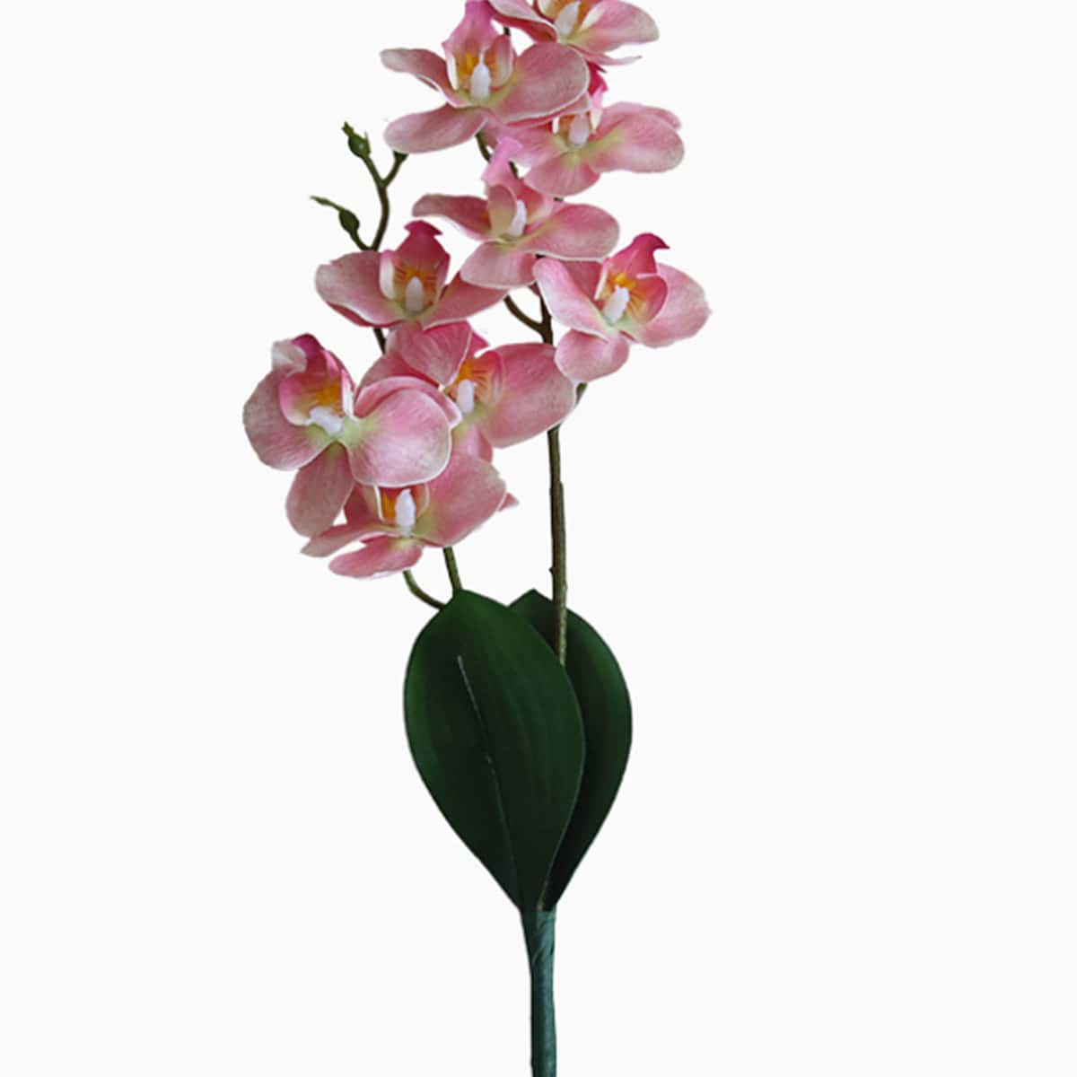

1 Branch Artificial Phalaenopsis