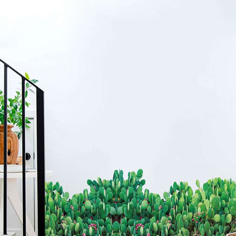 

Plant Print Wall Sticker