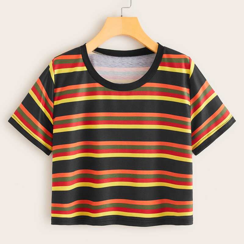

Colorful Striped Crop Tee, Multicolor