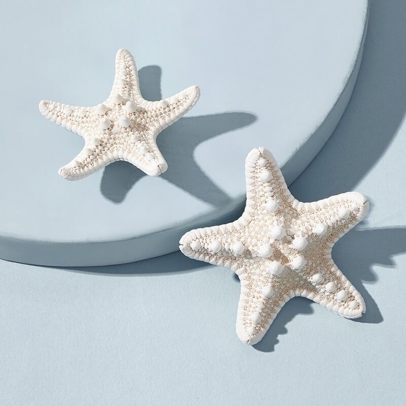 

2pcs Starfish Hair Clip, White