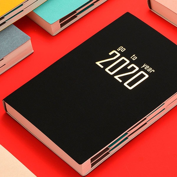 

1pack 2020 Schedule Notebook, Multicolor