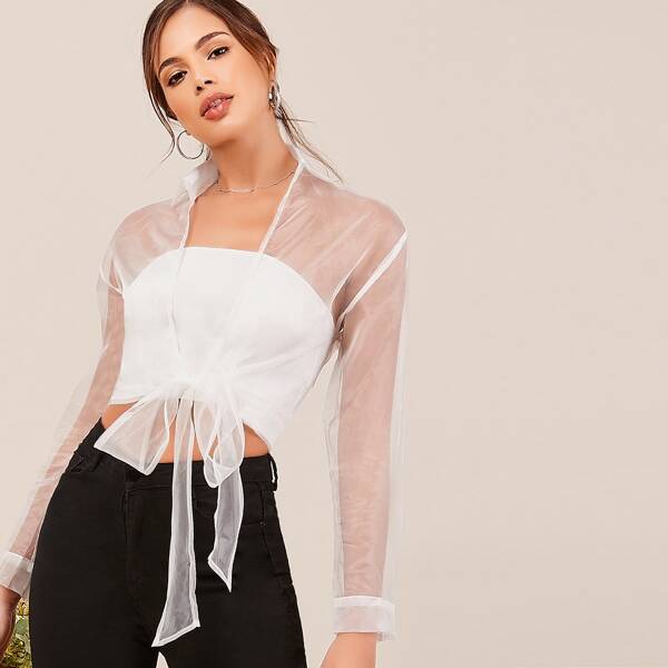 

Sheer Organza Long Sleeve Tie Front Blouse, White