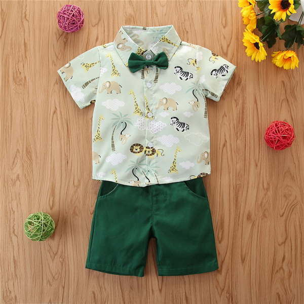

Toddler Boys Animal & Tropical Print Shirt & Pocket Detail Pants Set, Multicolor