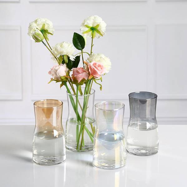 

1pc Gradient Clear Flower Vase