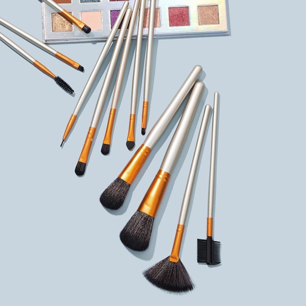 

12pcs Fan Shaped Makeup Brush Set With Bag, Multicolor