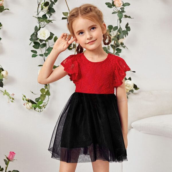 

Toddler Girls Two Tone Lace Panel Dress, Multicolor