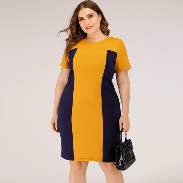 

Plus Colorblock Zip Back Fitted Dress, Multicolor