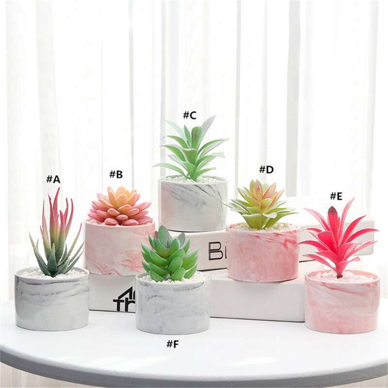 

1pc Artificial Succulents Plant With Ceramic Pot, Multicolor
