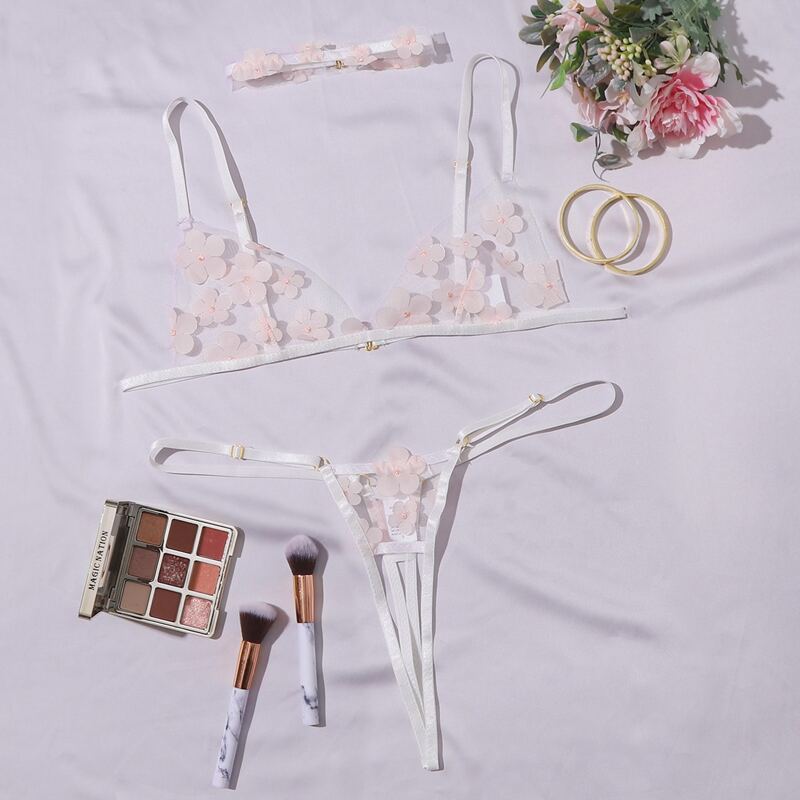 

Appliques Mesh Lingerie Set With Choker, Pink
