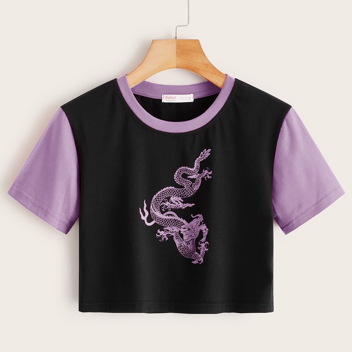

Dragon Graphic Colorblock Crop Tee, Multicolor