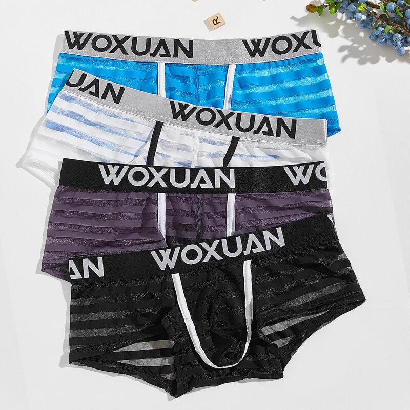 

4pcs Guys Letter Graphic Mesh Panel Brief, Multicolor