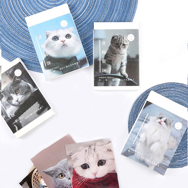 

30sheets Cat Print Random Greeting Card, Multicolor