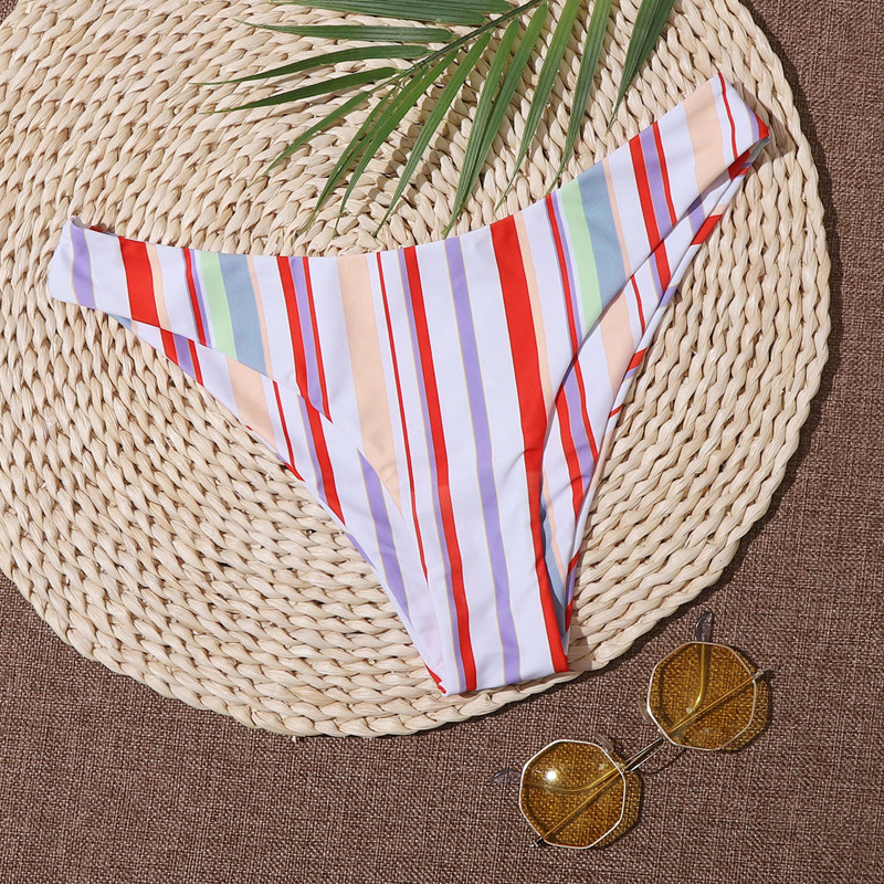 

Colorful Stripe Print Bikini Panty, Multicolor