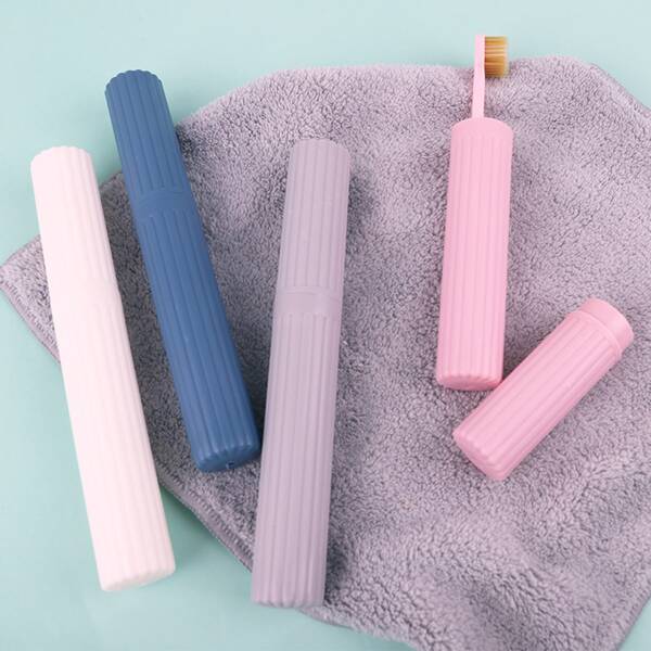 

1pc Random Color Toothbrush Box, Multicolor