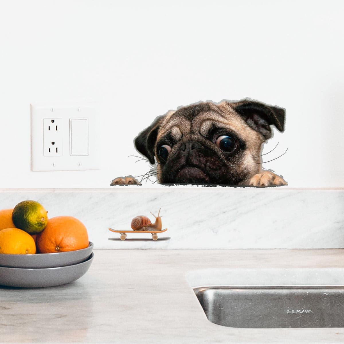 

Dog & Snail Print Wall Sticker, Multicolor