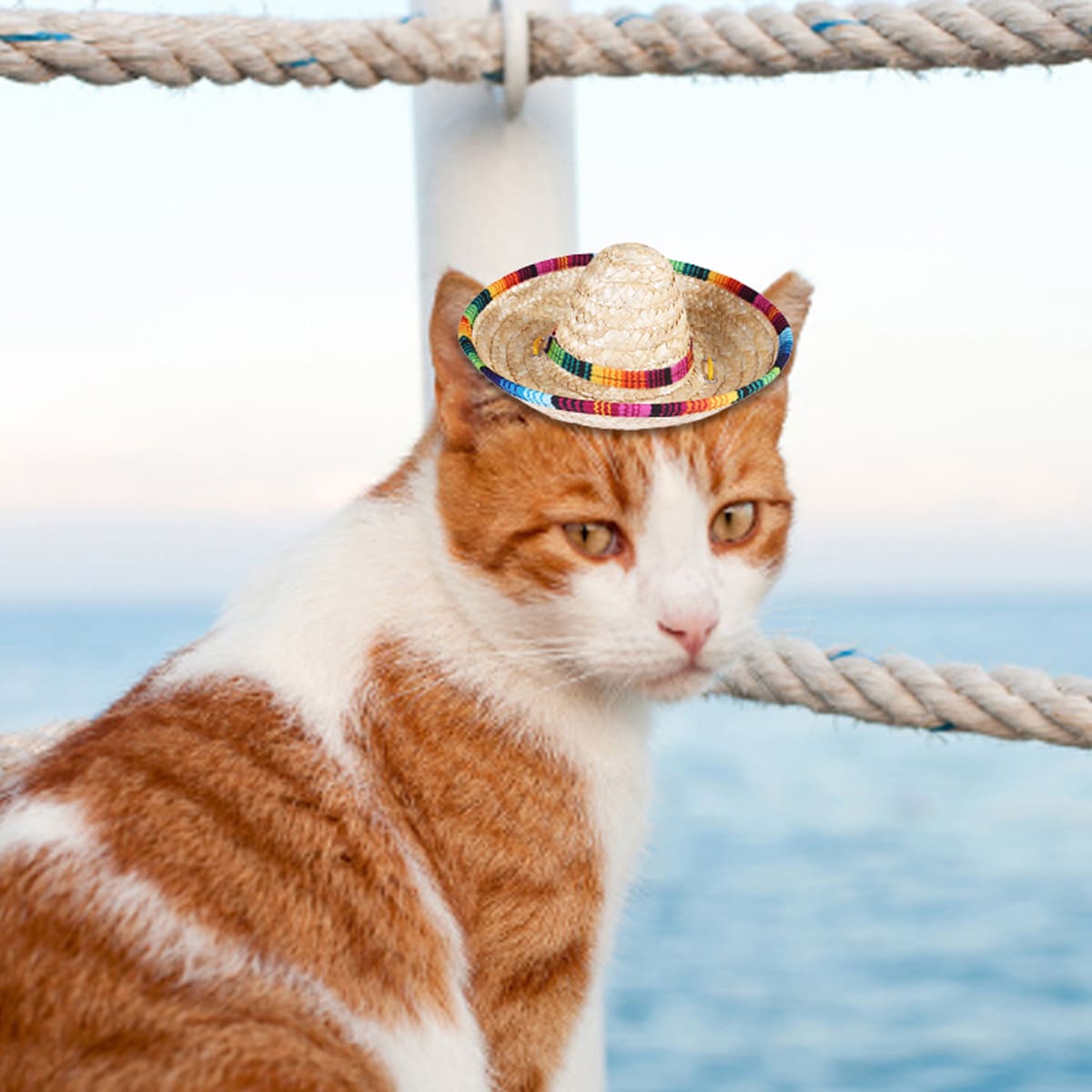 

1pc Cat Sun Straw Hat, Yellow