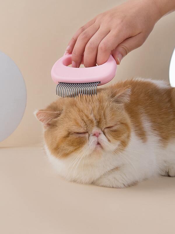 1 Piece Brosse Pour Chat Mode En Ligne Shein France