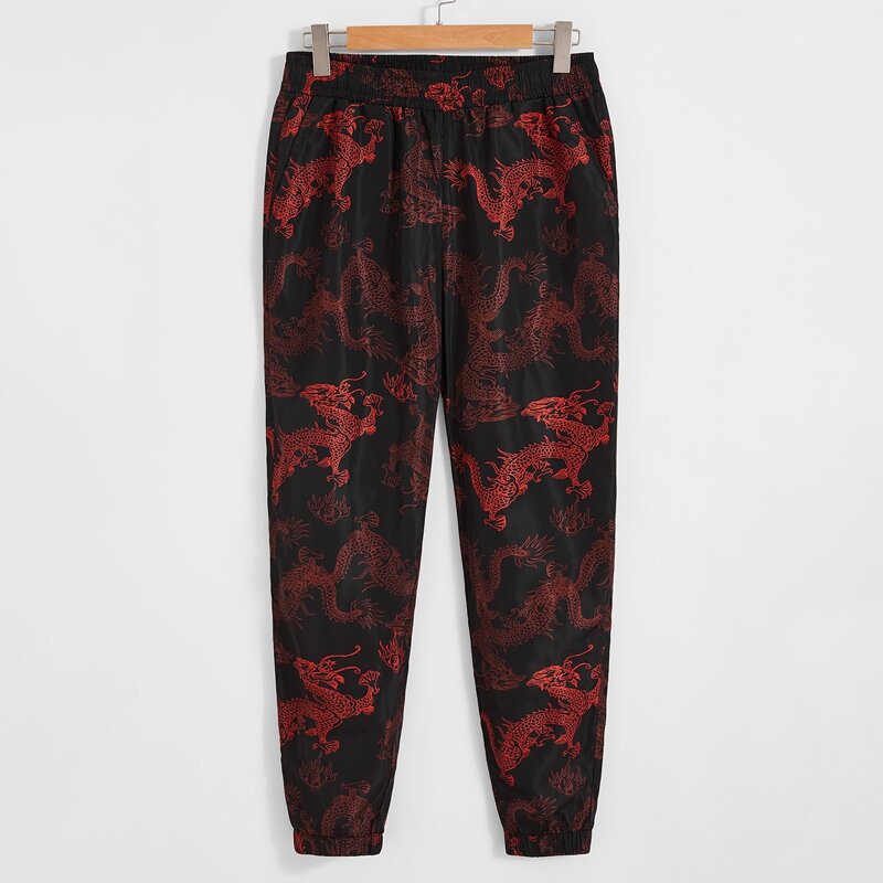 

Guys Elastic Waist Dragon Print Wind Joggers, Multicolor