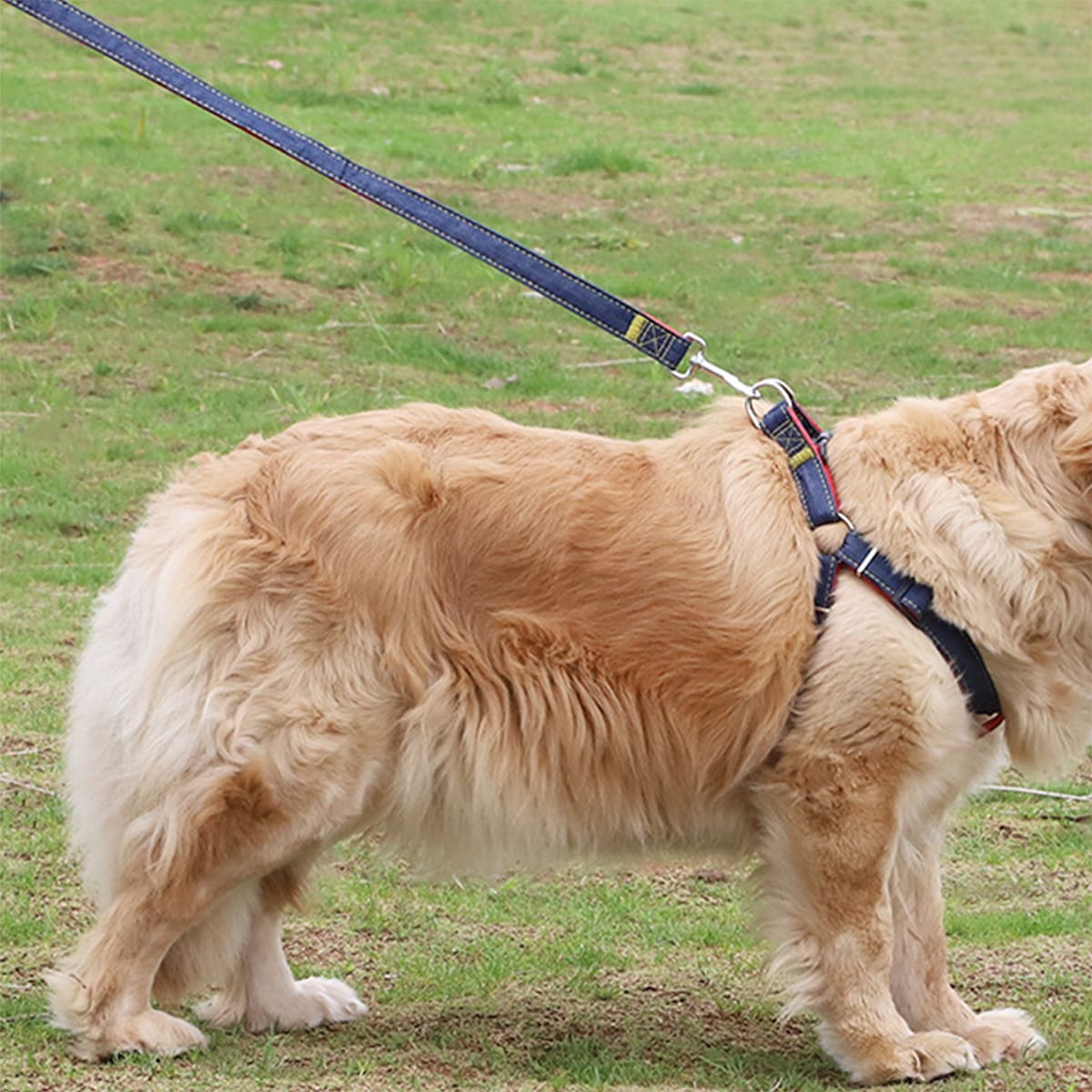 

1pc Dog Solid Harness With 1pc Leash, Red