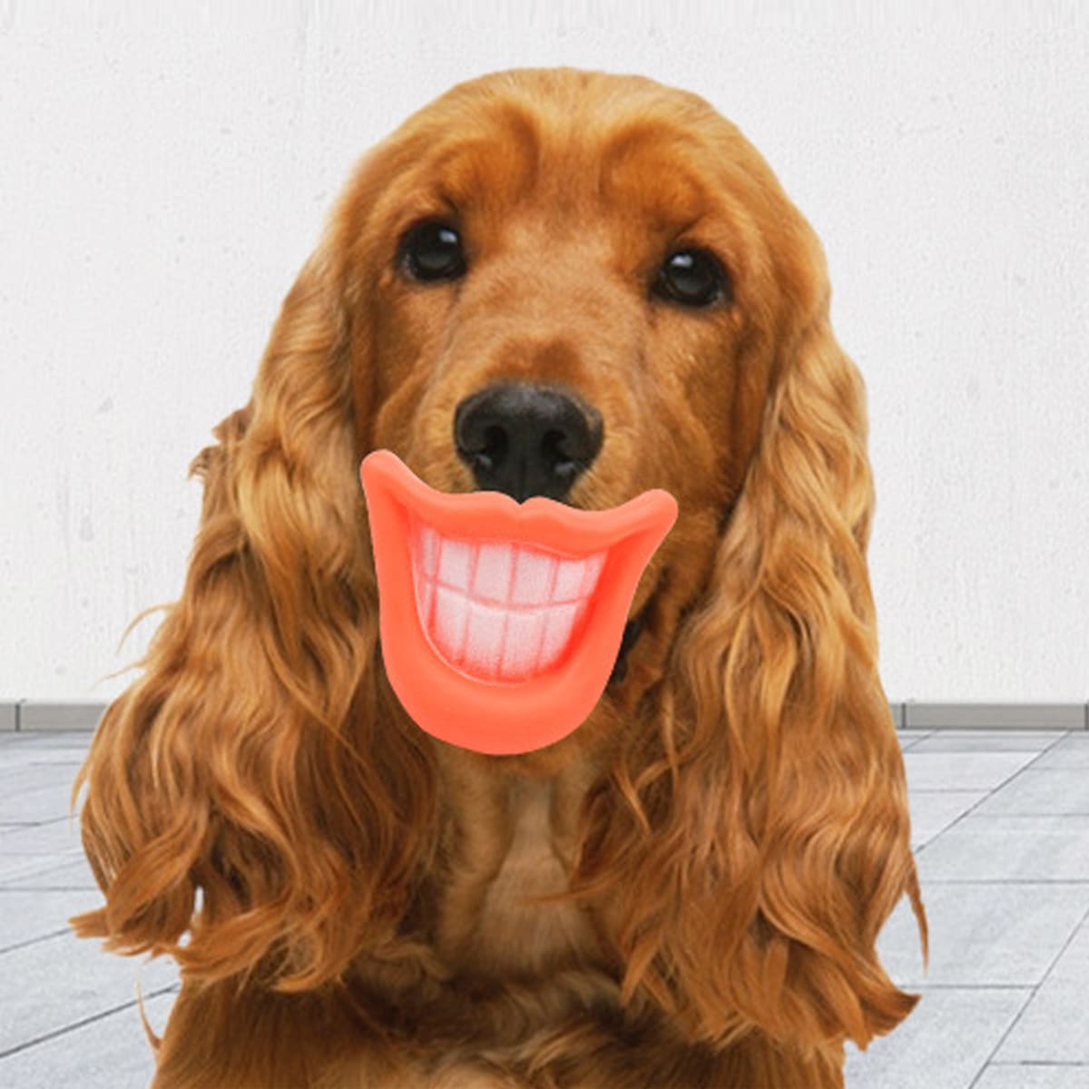 

1pc Lip Shaped Dog Chew Toy, Red