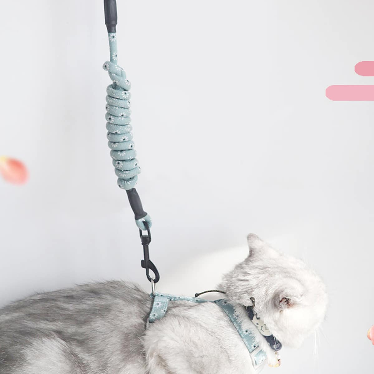 

1pc Daisy Print Cat Leash With 1pc Harness, Green