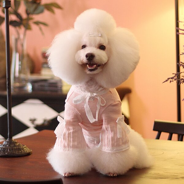 

1pc Crochet Trim Dog Tee, Pink