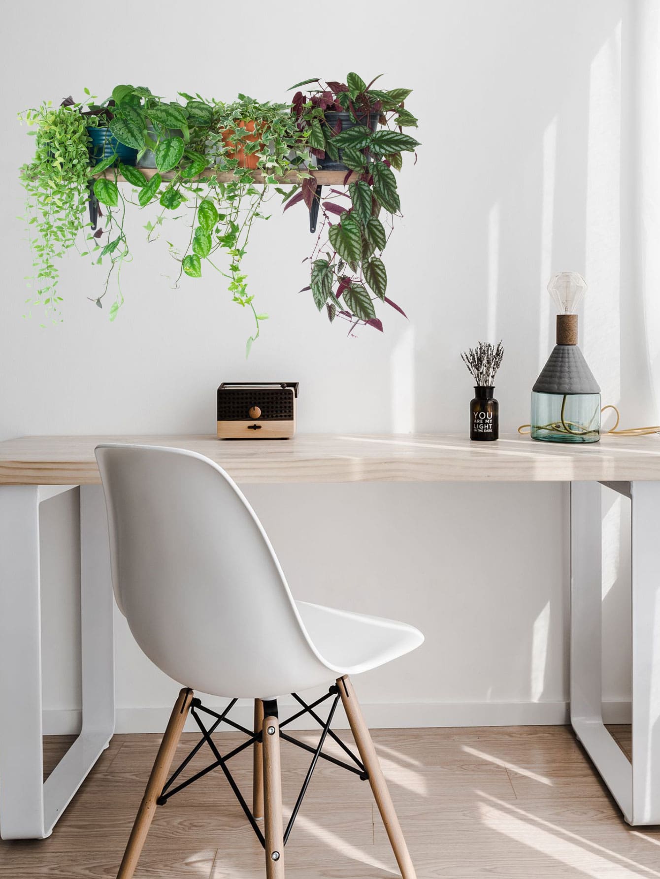 Cây dán tường - Nhiều màu - Xem 1