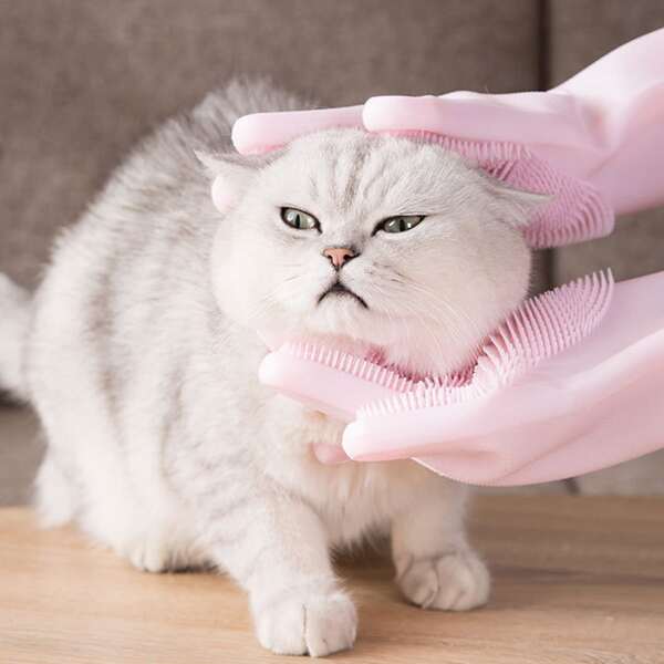 

1pair Cat Grooming Massage Glove, Pink