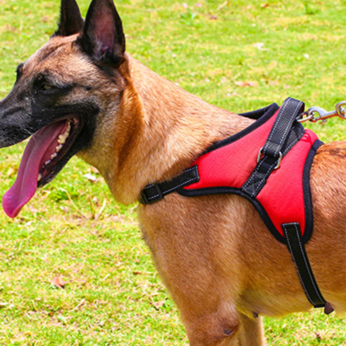 

1pc Release Buckle Dog Harness With 1pc Leash, Red