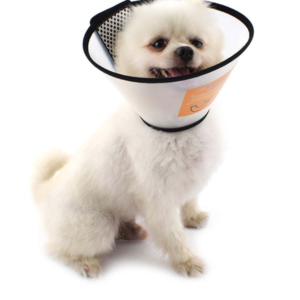 

1pc Contrast Trim Dog Elizabeth Collar, White