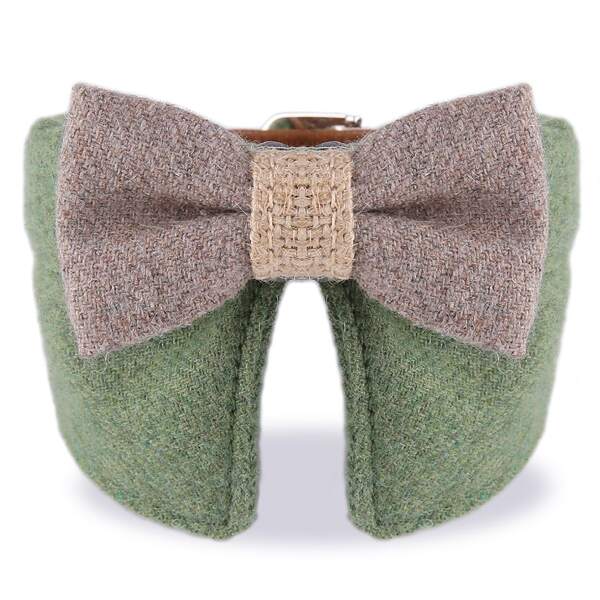 

1pc Bow Decor Cat Collar With Buckle, Green