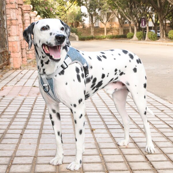 

1pc Adjustable Reflective Dog Harness, Blue
